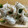 i☆can's cooksnap of when they made 3分おつまみ☆　ちくわの梅しそ巻き.