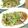 北のデビル。's cooksnap of when they made 烏賊げそと白菜のピリ辛オイスター。.