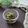 まろんかふぇ's cooksnap of when they made 茄子と紫蘇の味噌和え.