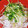ブランシュkuu's cooksnap of when they made 超簡単 釜揚げしらすのポン酢小鉢.
