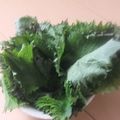 きらり流れ星's cooksnap of when they made 大量買い保存★しなった大葉も復活→保存♫.