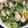 もりのりころ's cooksnap of when they made さっぱり！ 野菜炒め.