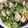 もりのりころ's cooksnap of when they made さっぱり！ 野菜炒め.