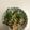 クックXEGXRM☆'s cooksnap of when they made 大量消費にピーマンとツナのあっさり和え.