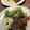 Yokchina's cooksnap of when they made スペイン料理☆鶏肉とプルーンのオイル煮.