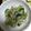 おのみちゃん's cooksnap of when they made 梅としらすのごま油香るたたききゅうり.