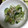 おのみちゃん's cooksnap of when they made 梅としらすのごま油香るたたききゅうり.