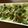クックR2VTSK☆'s cooksnap of when they made 水菜のゆず味噌おひたし.