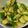 クック9605ND☆'s cooksnap of when they made 簡単！無限きゅうり.