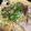 blue×2's cooksnap of when they made プロ直伝！豆乳ゴマみそパスタ.