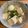 ぬこたん✩'s cooksnap of when they made 簡単♡即席♡にんにく鶏塩冷うどん♡.