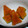 クック1N2NME☆'s cooksnap of when they made ルクエで簡単♪かぼちゃの煮物.