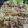 Ｍぱん's cooksnap of when they made ワサビでさっぱり！豚と舞茸のオイマヨ炒め.