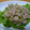 花きらら's cooksnap of when they made 即席５分！セロリとツナの和え物.