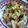 ぴあぴあぴあの's cooksnap of when they made 白菜と豚の肉豆腐✿.