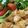 クック11SPZB☆'s cooksnap of when they made オーブンで！揚げない油淋鶏.