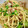 sakaki0214's cooksnap of when they made 豆苗と豚バラの激うま和風パスタ！.