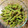 maz room's cooksnap of when they made いんげんの胡麻和え.
