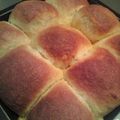 tiya_'s cooksnap of when they made 大人気！ほわほわ♡ ミルクパン.