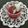 くっくmaamaa's cooksnap of when they made 使い切り♪１回分のラズベリーピューレ♪.