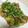 mizumelo's cooksnap of when they made 鶏もも肉とじゃがいものカレー炒め.