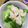 ♪チョコたんママ♪'s cooksnap of when they made ブロッコリーの明太マヨ和え.