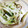 クックZUQLZL☆'s cooksnap of when they made １分で旨い！きゅうりやっこ.