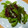 花きらら's cooksnap of when they made さやえんどうと豚の甘みそ炒め♪.