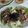 もりりんの森のちこ's cooksnap of when they made 超簡単！すぐに食べれる鯖缶サラダ.