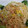 Ravenna1107's cooksnap of when they made 簡単キャベツと桜海老の和風パスタ.