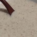 ヨシヨッシー's cooksnap of when they made 乾しいたけの豆乳ポタージュ　白味噌仕立て.