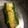 ForestGump's cooksnap of when they made 蛇腹きゅうりのさっぱり酢♪.
