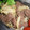ミセスＡ's cooksnap of when they made 牛肉とじゃがいものバターしょうゆ炒め.