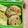 ゆうかりコアラ's cooksnap of when they made 椎茸と明太子焼き.