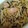 mぱなんが's cooksnap of when they made 失敗なしで確実にうまいもやし炒め♬.