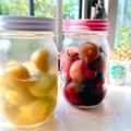 チャコりんりん's cooksnap of when they made 甘いカリカリ梅（紅白）.