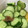クックBLTENE☆'s cooksnap of when they made 【簡単作り置き】きゅうりとわかめの酢の物.