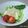 ☆Kan Kan☆'s cooksnap of when they made 豆腐とツナのサラダ.