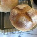 すぃーてぃ's cooksnap of when they made 作りやすい食べやすいカンパーニュ.