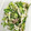クックGB6431☆'s cooksnap of when they made きゅうりとささみの梅しそ和え.