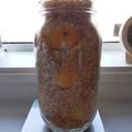 aoto's cooksnap of when they made ザラメで☆梅シロップ.