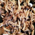あゆゆガーナ's cooksnap of when they made きのこのマリネ.