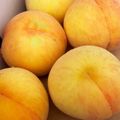 めろ☆めろん's cooksnap of when they made 桃のコンポート.