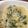 roni＊'s cooksnap of when they made 超簡単☆うま塩！しらすおろしうどん♪♪♪.