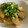 __MUGI's cooksnap of when they made 豚薄切り肉と大根の炒め煮　作り置きOK.