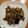 rrr0808's cooksnap of when they made 牛肩ロースと夏野菜のスタミナ炒め.