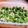 クックDY3TSU☆'s cooksnap of when they made 簡単！無限ピーマン(*^^*).