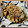 mikko6's cooksnap of when they made 卵ともやしで、お好み焼き風♪.