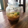 ゆずこしょうぽんず's cooksnap of when they made ザラメで☆梅シロップ.