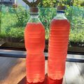 mamanotama's cooksnap of when they made 健康 青しそジュース.